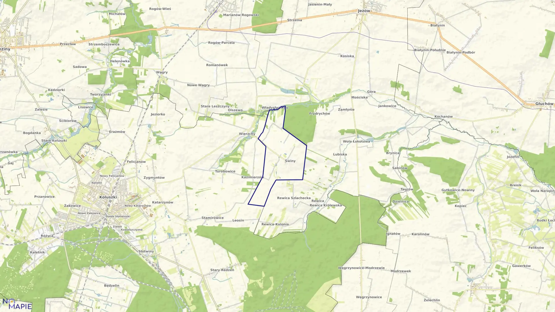 Mapa obrębu ŚWINY w gminie Koluszki